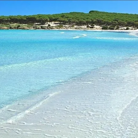 Budoni -san Pietro *